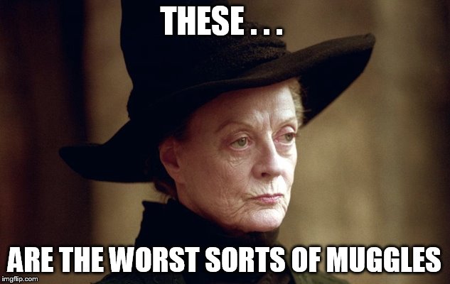 Worst Sorts Of Muggles | THESE . . . ARE THE WORST SORTS OF MUGGLES | image tagged in mcgonagall,harry potter,muggles | made w/ Imgflip meme maker