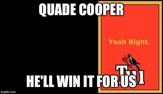 Tui | QUADE COOPER; HE'LL WIN IT FOR US | image tagged in tui | made w/ Imgflip meme maker