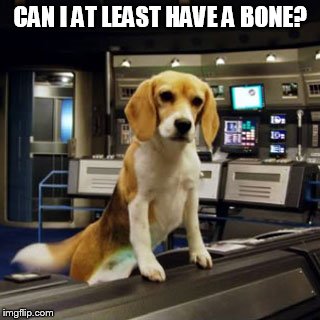 Captain Archer's Beagle Porthos | CAN I AT LEAST HAVE A BONE? | image tagged in captain archer's beagle porthos | made w/ Imgflip meme maker
