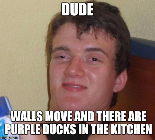 10 Guy Meme | DUDE; WALLS MOVE AND THERE ARE PURPLE DUCKS IN THE KITCHEN | image tagged in memes,10 guy | made w/ Imgflip meme maker