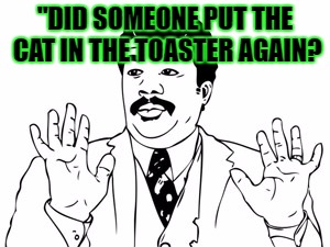 One of my more random memes | "DID SOMEONE PUT THE CAT IN THE TOASTER AGAIN? | image tagged in memes,neil degrasse tyson,template quest,funny | made w/ Imgflip meme maker