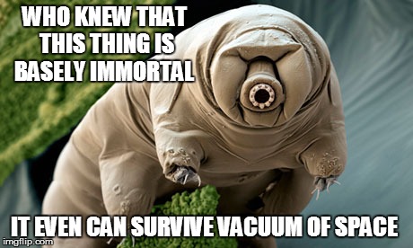 the most resistant thing on the planet | WHO KNEW THAT THIS THING IS BASELY IMMORTAL; IT EVEN CAN SURVIVE VACUUM OF SPACE | image tagged in weird science,bear,small and mighty,memes,amazing | made w/ Imgflip meme maker