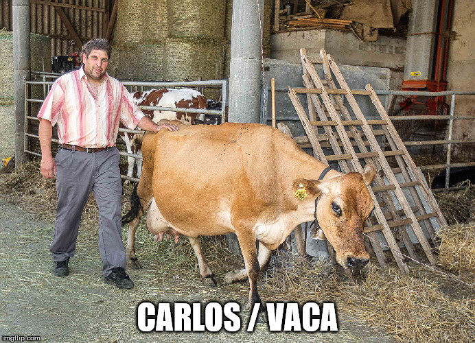 CARLOS / VACA | made w/ Imgflip meme maker