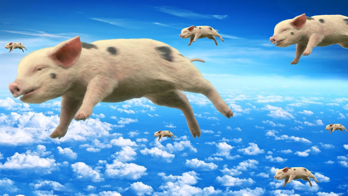 High Quality When Pigs Fly Blank Meme Template