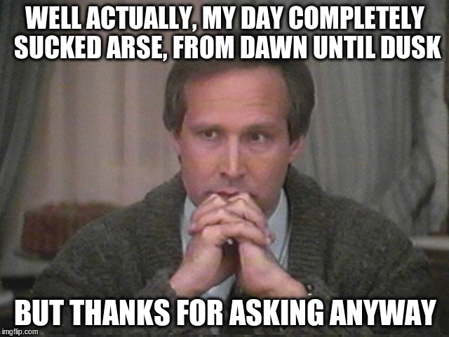 Had a bad day, but keeping it together.. | WELL ACTUALLY, MY DAY COMPLETELY SUCKED ARSE, FROM DAWN UNTIL DUSK; BUT THANKS FOR ASKING ANYWAY | image tagged in christmas vacation disgust | made w/ Imgflip meme maker