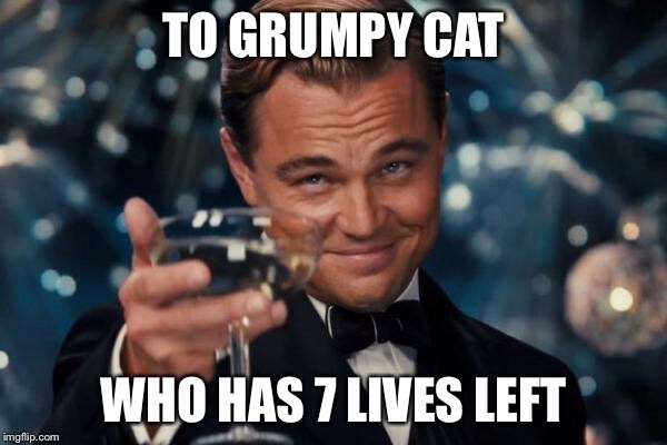 Leonardo Dicaprio Cheers Meme | TO GRUMPY CAT WHO HAS 7 LIVES LEFT | image tagged in memes,leonardo dicaprio cheers | made w/ Imgflip meme maker