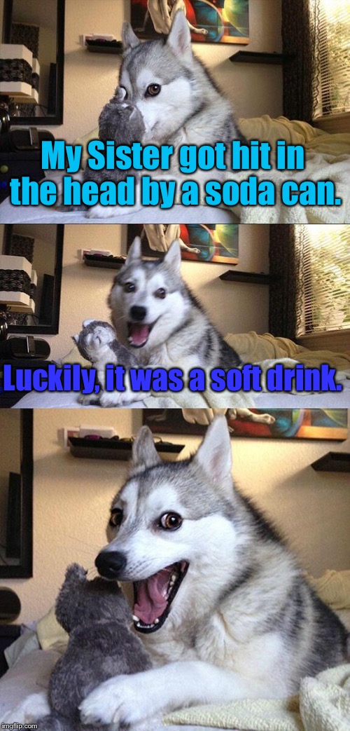 She's okay! | My Sister got hit in the head by a soda can. Luckily, it was a soft drink. | image tagged in memes,bad pun dog,funny,soda,soft,drink | made w/ Imgflip meme maker