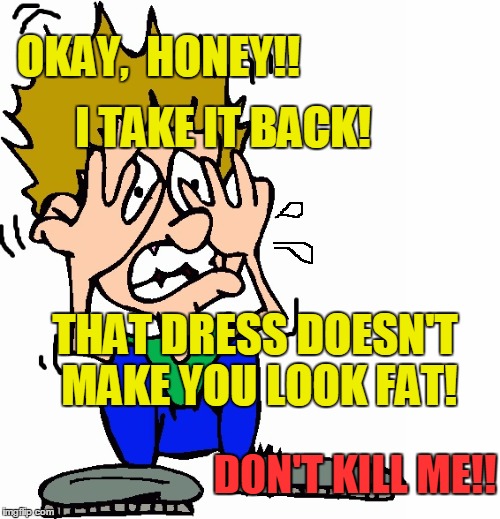 Be honest,  she said!  I WON'T GET MAD,  SHE SAID!! | OKAY,  HONEY!! I TAKE IT BACK! THAT DRESS DOESN'T MAKE YOU LOOK FAT! DON'T KILL ME!! | image tagged in don't hit me | made w/ Imgflip meme maker