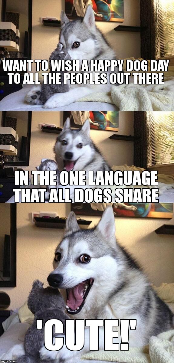Bad Pun Dog | WANT TO WISH A HAPPY DOG DAY TO ALL THE PEOPLES OUT THERE; IN THE ONE LANGUAGE THAT ALL DOGS SHARE; 'CUTE!' | image tagged in memes,bad pun dog | made w/ Imgflip meme maker