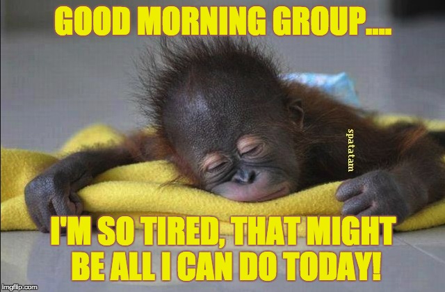 GOOD MORNING GROUP.... I'M SO TIRED, THAT MIGHT BE ALL I CAN DO TODAY! | image tagged in goodmorning,group,monkey,tired | made w/ Imgflip meme maker