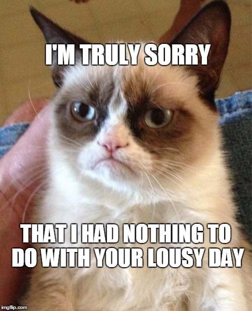 Grumpy Cat Meme | I'M TRULY SORRY THAT I HAD NOTHING TO DO WITH YOUR LOUSY DAY | image tagged in memes,grumpy cat | made w/ Imgflip meme maker