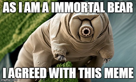 AS I AM A IMMORTAL BEAR I AGREED WITH THIS MEME | made w/ Imgflip meme maker