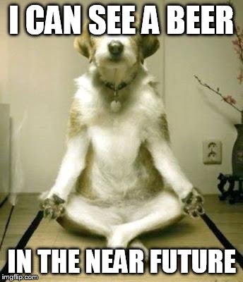Friday Yoga dog | I CAN SEE A BEER; IN THE NEAR FUTURE | image tagged in friday yoga dog | made w/ Imgflip meme maker