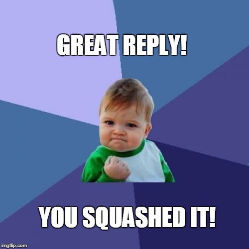 Success Kid Meme | GREAT REPLY! YOU SQUASHED IT! | image tagged in memes,success kid | made w/ Imgflip meme maker