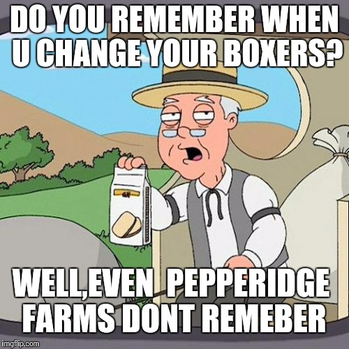 Pepperidge Farm Remembers Meme | DO YOU REMEMBER WHEN U CHANGE YOUR BOXERS? WELL,EVEN  PEPPERIDGE FARMS DONT REMEBER | image tagged in memes,pepperidge farm remembers | made w/ Imgflip meme maker