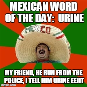 succesful mexican | MEXICAN WORD OF THE DAY:  URINE; MY FRIEND, HE RUN FROM THE POLICE, I TELL HIM URINE EEJIT | image tagged in succesful mexican | made w/ Imgflip meme maker