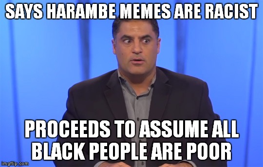Double Think |  SAYS HARAMBE MEMES ARE RACIST; PROCEEDS TO ASSUME ALL BLACK PEOPLE ARE POOR | image tagged in memes,tyt,double standards,regressive left | made w/ Imgflip meme maker
