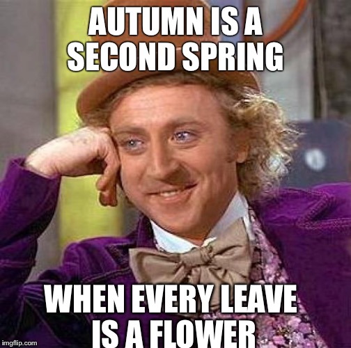 Creepy Condescending Wonka Meme | AUTUMN IS A SECOND SPRING; WHEN EVERY LEAVE IS A FLOWER | image tagged in memes,creepy condescending wonka | made w/ Imgflip meme maker