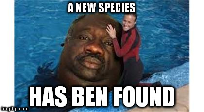 Strange isent it? |  A NEW SPECIES; HAS BEN FOUND | image tagged in random something | made w/ Imgflip meme maker