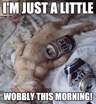 I'M JUST A LITTLE WOBBLY THIS MORNING! | made w/ Imgflip meme maker