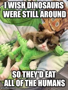 I WISH DINOSAURS WERE STILL AROUND; SO THEY'D EAT ALL OF THE HUMANS | image tagged in grumpy cat | made w/ Imgflip meme maker