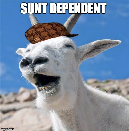 Laughing Goat Meme | SUNT DEPENDENT | image tagged in memes,laughing goat,scumbag | made w/ Imgflip meme maker