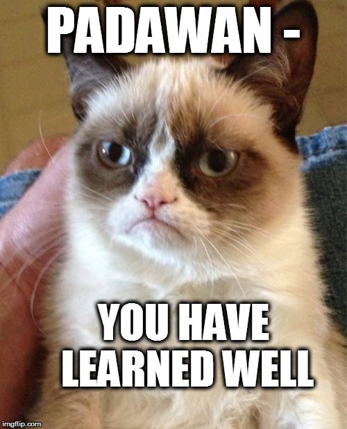 Grumpy Cat Meme | PADAWAN - YOU HAVE LEARNED WELL | image tagged in memes,grumpy cat | made w/ Imgflip meme maker
