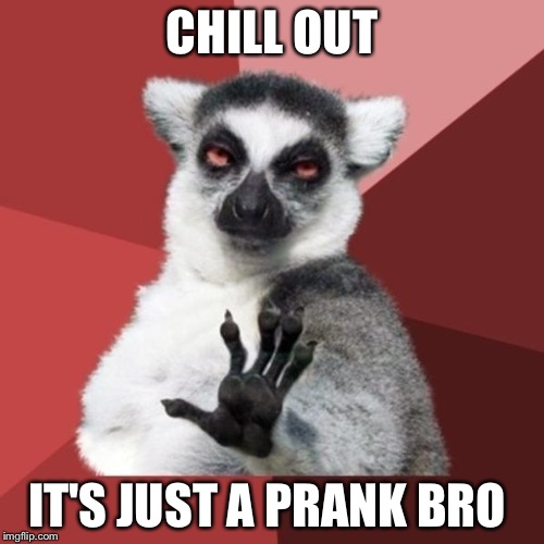 Chill Out Lemur | CHILL OUT; IT'S JUST A PRANK BRO | image tagged in memes,chill out lemur | made w/ Imgflip meme maker