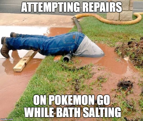 head in mud | ATTEMPTING REPAIRS; ON POKEMON GO WHILE BATH SALTING | image tagged in head in mud | made w/ Imgflip meme maker