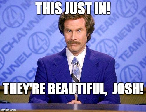 anchorman news update | THIS JUST IN! THEY'RE BEAUTIFUL,  JOSH! | image tagged in anchorman news update | made w/ Imgflip meme maker