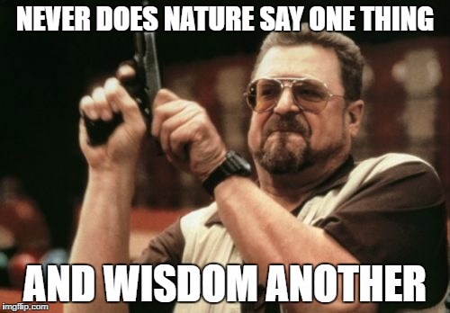 Am I The Only One Around Here Meme | NEVER DOES NATURE SAY ONE THING; AND WISDOM ANOTHER | image tagged in memes,am i the only one around here | made w/ Imgflip meme maker