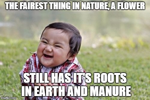 Evil Toddler | THE FAIREST THING IN NATURE, A FLOWER; STILL HAS IT'S ROOTS IN EARTH AND MANURE | image tagged in memes,evil toddler | made w/ Imgflip meme maker