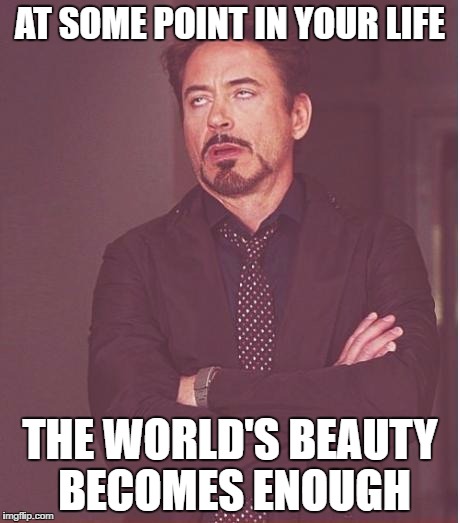 Face You Make Robert Downey Jr Meme | AT SOME POINT IN YOUR LIFE; THE WORLD'S BEAUTY BECOMES ENOUGH | image tagged in memes,face you make robert downey jr | made w/ Imgflip meme maker