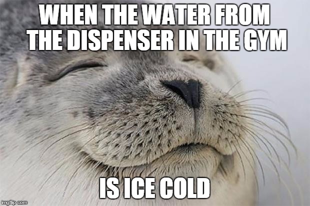 Satisfied Seal | WHEN THE WATER FROM THE DISPENSER IN THE GYM; IS ICE COLD | image tagged in memes,satisfied seal,AdviceAnimals | made w/ Imgflip meme maker