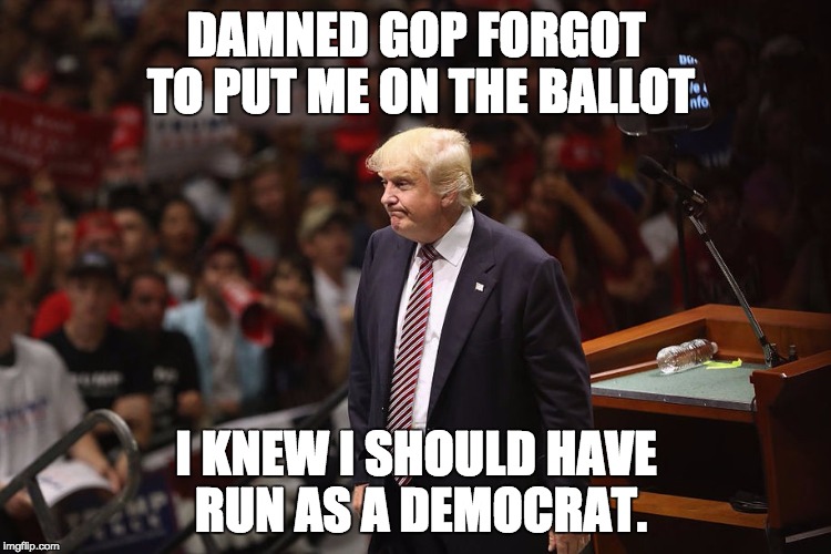 Damned GOP | DAMNED GOP FORGOT TO PUT ME ON THE BALLOT; I KNEW I SHOULD HAVE RUN AS A DEMOCRAT. | image tagged in donald trump,democrat,republican,president 2016 | made w/ Imgflip meme maker
