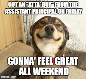 Good Dog Greg | GOT AN "ATTA' BOY" FROM THE ASSISTANT PRINCIPAL ON FRIDAY; GONNA' FEEL GREAT ALL WEEKEND | image tagged in good dog greg | made w/ Imgflip meme maker