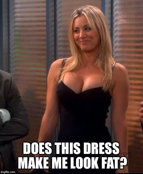 Penny - LBD | DOES THIS DRESS MAKE ME LOOK FAT? | image tagged in penny - lbd | made w/ Imgflip meme maker