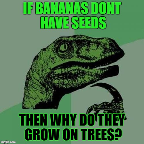 Philosoraptor Meme | IF BANANAS DONT HAVE SEEDS; THEN WHY DO THEY GROW ON TREES? | image tagged in memes,philosoraptor | made w/ Imgflip meme maker