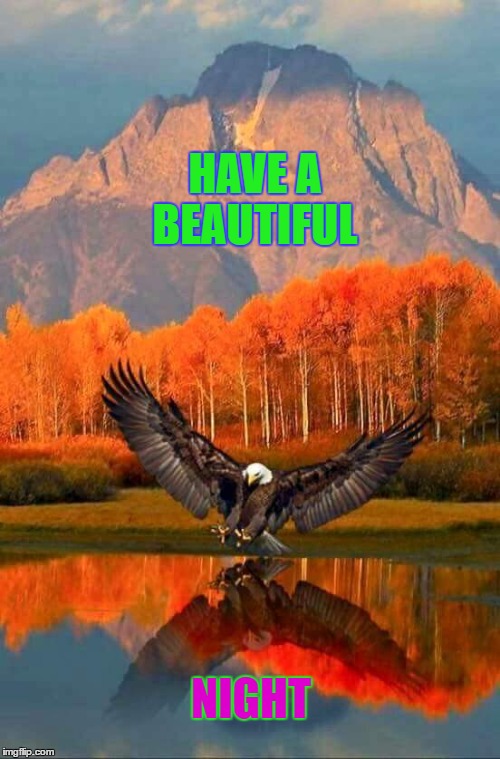 HAVE A BEAUTIFUL; NIGHT | made w/ Imgflip meme maker