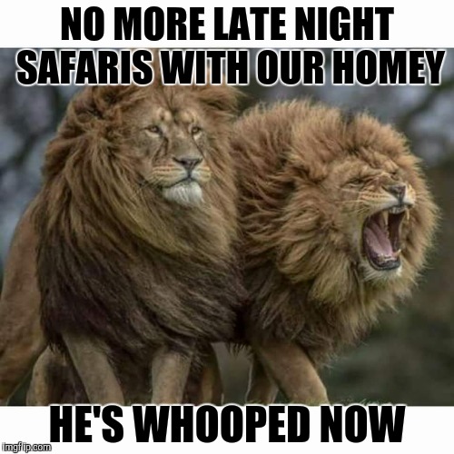 NO MORE LATE NIGHT SAFARIS WITH OUR HOMEY HE'S WHOOPED NOW | made w/ Imgflip meme maker