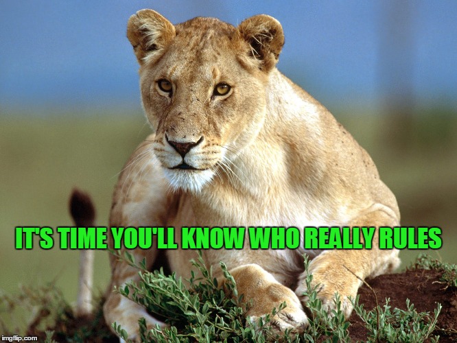 IT'S TIME YOU'LL KNOW WHO REALLY RULES | made w/ Imgflip meme maker