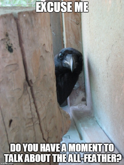 Excuse me do you have a moment to talk about the all-feather? | EXCUSE ME; DO YOU HAVE A MOMENT TO TALK ABOUT THE ALL-FEATHER? | image tagged in hugin,munin,odin | made w/ Imgflip meme maker