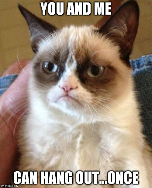 Grumpy Cat Meme | YOU AND ME CAN HANG OUT...ONCE | image tagged in memes,grumpy cat | made w/ Imgflip meme maker