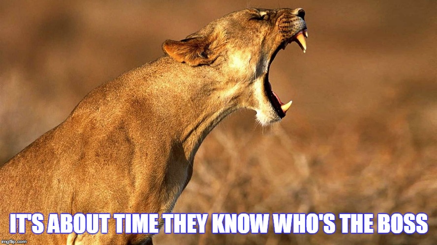 IT'S ABOUT TIME THEY KNOW WHO'S THE BOSS | made w/ Imgflip meme maker
