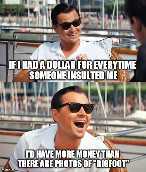 Leonardo Dicaprio Wolf Of Wall Street | IF I HAD A DOLLAR FOR EVERYTIME SOMEONE INSULTED ME; I'D HAVE MORE MONEY THAN THERE ARE PHOTOS OF "BIGFOOT" | image tagged in memes,leonardo dicaprio wolf of wall street | made w/ Imgflip meme maker