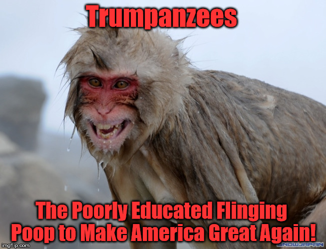 Trumpanzees; The Poorly Educated Flinging Poop to Make America Great Again! | image tagged in hrc2016,voteblue2016,imwithher2016,supremecourtmatters | made w/ Imgflip meme maker