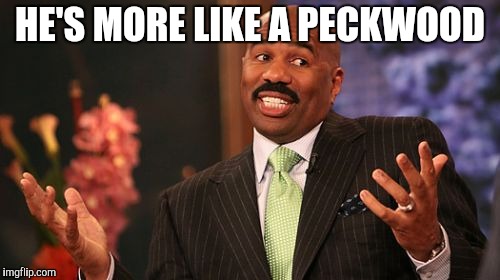 Steve Harvey Meme | HE'S MORE LIKE A PECKWOOD | image tagged in memes,steve harvey | made w/ Imgflip meme maker