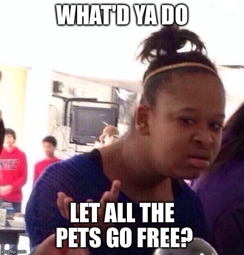 Black Girl Wat Meme | WHAT'D YA DO LET ALL THE PETS GO FREE? | image tagged in memes,black girl wat | made w/ Imgflip meme maker