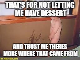 THAT'S FOR NOT LETTING ME HAVE DESSERT; AND TRUST ME THERES MORE WHERE THAT CAME FROM | image tagged in funny | made w/ Imgflip meme maker