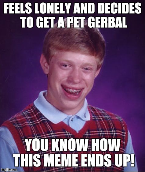Gerbals like to hide in weird places! | FEELS LONELY AND DECIDES TO GET A PET GERBAL; YOU KNOW HOW THIS MEME ENDS UP! | image tagged in memes,bad luck brian | made w/ Imgflip meme maker